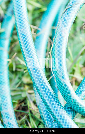 Il tubo flessibile di irrigazione giacente su erba in giardino vegetale Foto Stock