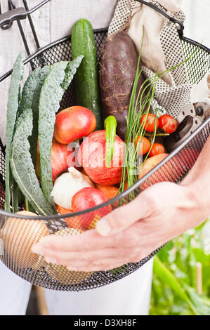 Raccolto da un giardino, misti di frutta e verdura Foto Stock