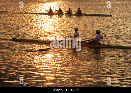 Canada,Ontario,Saint Catharines, il Royal Henley Regatta, vogatori Foto Stock