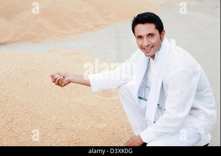 Man Picking chicchi di grano da un heap, Anaj Mandi, Sohna, Gurgaon, Haryana, India Foto Stock