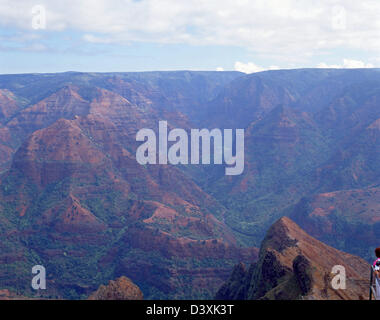 Il Canyon di Waimea, Waimea Canyon State Park, Kauai, Hawaii, Stati Uniti d'America Foto Stock