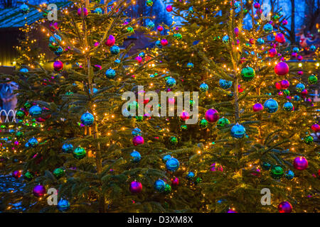 Alberi di Natale con Natale baubles. Foto Stock