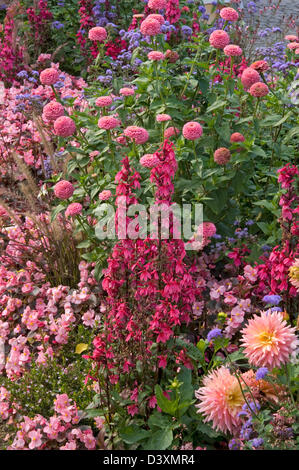 One-Color confine. Rosso e rosa con tema il Lobelia, begonie e Zinnias Foto Stock