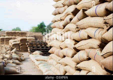 Pile di sacchi di grano in un magazzino, Anaj Mandi, Sohna, Gurgaon, Haryana, India Foto Stock