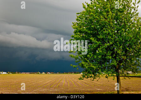 Drammatico paesaggio con la tempesta in arrivo in Val Padana, Emilia Foto Stock