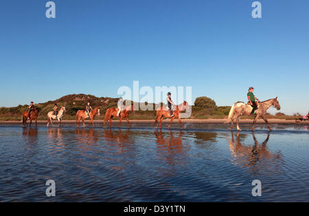 Santa Margherita di Pula, Italia, cavalcate a cavallo sulla spiaggia Foto Stock