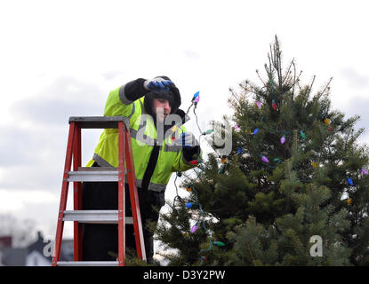 Lavoratore mette luci su albero di Natale a New Haven CT STATI UNITI D'AMERICA Foto Stock