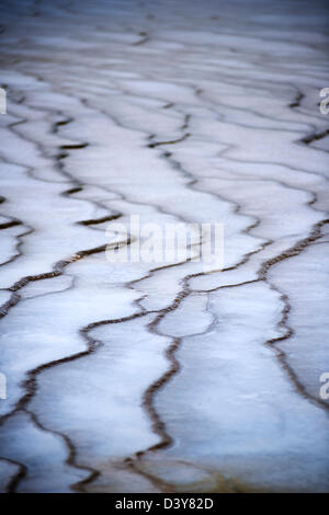 Dettaglio del geo-caratteristiche termiche vicino a Grand Prismatic Spring nel Parco Nazionale di Yellowstone, Wyoming USA Foto Stock