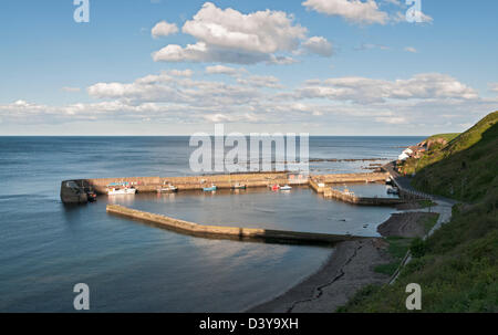 La Scozia, Scottish Borders, Burnmouth Harbour Foto Stock