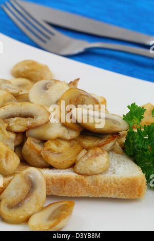 Funghi su pane tostato Foto Stock