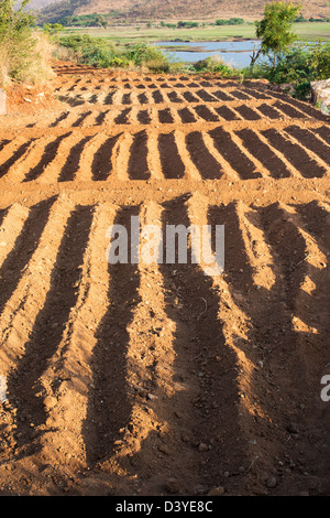 Arato campo di collina nella campagna indiana. Andhra Pradesh, India Foto Stock