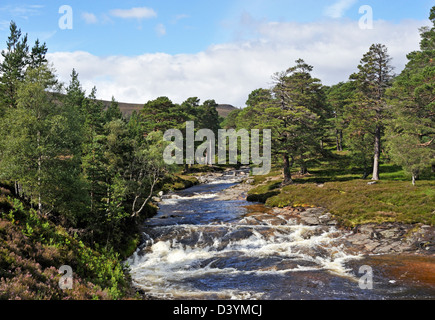 Il fiume Dee. Mar Lodge Estate, Braemar, Royal Deeside, Aberdeenshire, Scotland, Regno Unito, Europa. Foto Stock