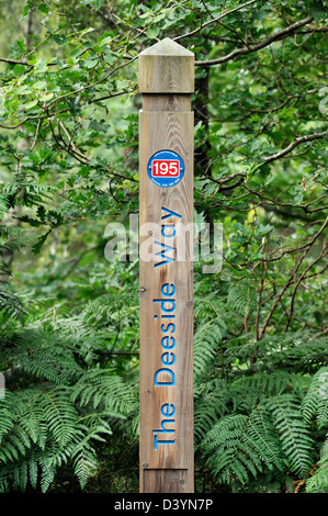 Segnavia post. Il Deeside modo. Cambus o'May, Aberdeenshire, Scotland, Regno Unito, Europa. Foto Stock