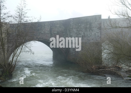 Nebbia - Ludford ponte sul fiume teme, Ludlow Shropshire Inghilterra, Gran Bretagna Foto Stock