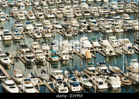 Luxury motor yacht ormeggiati nel Marriott Marquis Marina a San Diego in California, Stati Uniti d'America STATI UNITI D'AMERICA Foto Stock