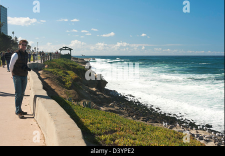 La fascia costiera sull'Oceano Pacifico e di fronte al mare a La Jolla Cove San Diego California Stati Uniti America STATI UNITI D'AMERICA Foto Stock