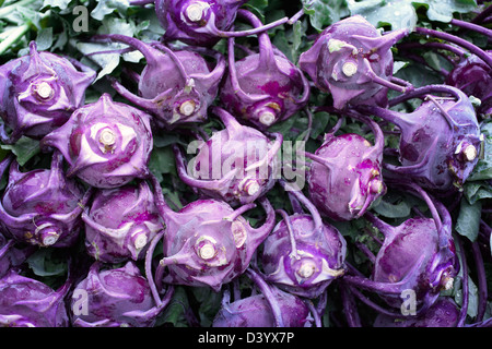 Close-up di viola il cavolo rapa al Mercato degli Agricoltori Foto Stock