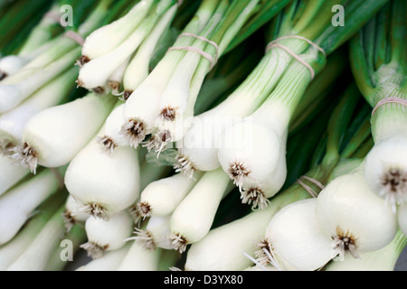 Close-up di organico lo scalogno al Mercato degli Agricoltori Foto Stock