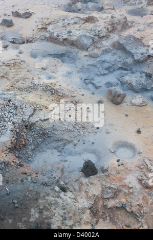 Fango bollente in piscina Gunnuhver area geotermale Islanda Foto Stock