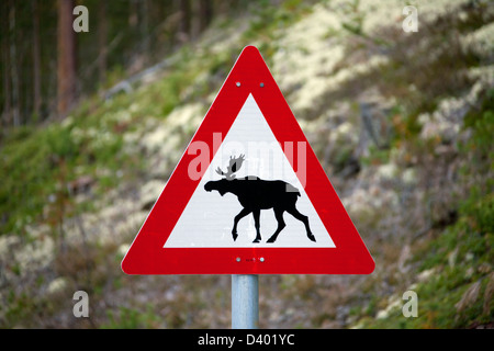 Segnale di avvertimento per indicare le alci (Alces alces) attraversando la strada in Svezia Foto Stock