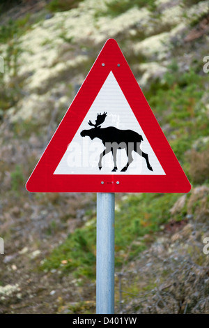 Segnale di avvertimento per indicare le alci (Alces alces) attraversando la strada in Svezia Foto Stock