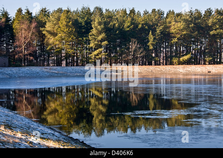 Thin Ice e nitide riflessioni sull'acqua a Clatto Park stagno durante metà inverno in ambiente urbano Dundee,UK Foto Stock