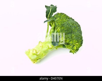 Broccoli freschi, Brassica oleracea var. italica, isolati su sfondo bianco Foto Stock