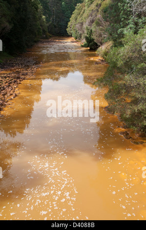 Re River Gorge, accanto il Abt o West Coast Wilderness Railway, la Tasmania. Foto Stock