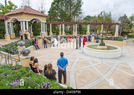 Festa di nozze in Hollis Giardini in Lakeland Florida Foto Stock