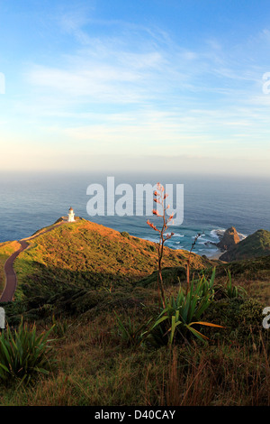 Cape Reinga lighthouse nel Northland Foto Stock