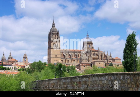 Salamanca Kathedrale 02 Foto Stock