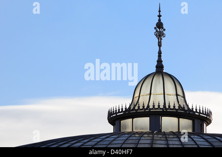 Dettagli sul tetto del palazzo di kibble, Botanic Gardens, Glasgow, Scozia Foto Stock