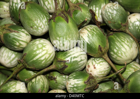 Melanzane tailandesi in vendita in un mercato dello Sri Lanka Foto Stock