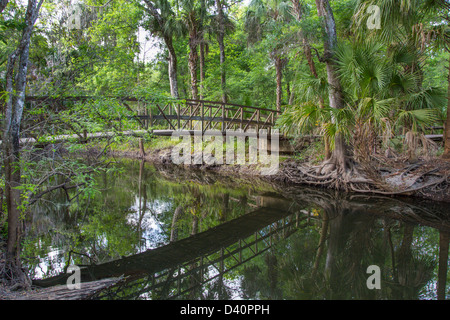 Passerella sul fiume Hillsborough in Morris Bridge Park parte inferiore del deserto di Hillsborough preservare in Thonotosassa Florida Foto Stock