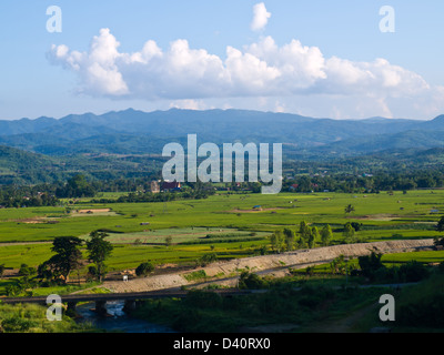 Risaie e vista montagne nei dintorni di Mae Suay serbatoio, Chiang Rai, Thailandia Foto Stock