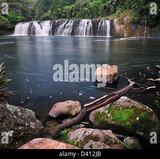 Wharepuke Cade vicino a Kerikeri, Nuova Zelanda Foto Stock