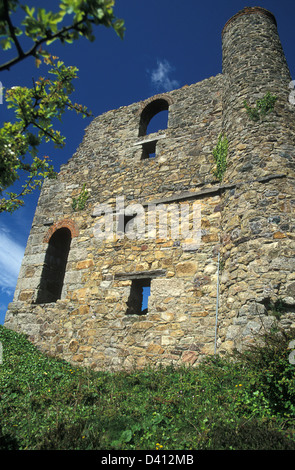 Vecchia miniera, piscina, Brea, Cornwall Foto Stock