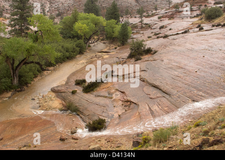 Giorno di pioggia nel Parco Nazionale di Zion, Utah, Stati Uniti d'America Foto Stock