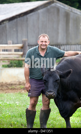 Coltivatore di manzo Foto Stock