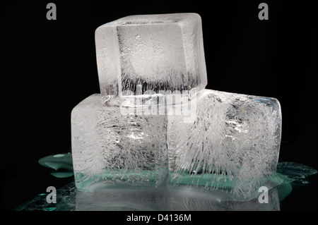 Cubetti di ghiaccio - real ice con sfondo nero (N) di plastica Foto Stock