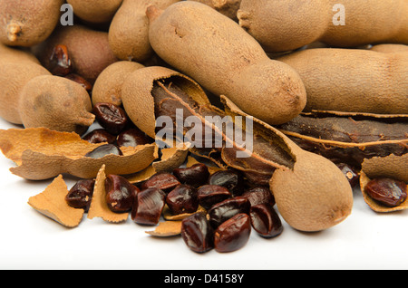 (Tamarindo Tamarindus indica), il famoso cibo del sud-est asiatico, Nord Africa, India Foto Stock