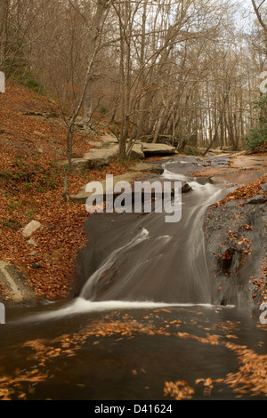In autunno la foresta con un fiume Foto Stock