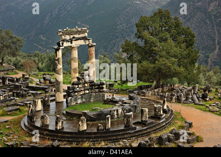 Il tempio di Atena Pronaia (Pronaea) all antica Delphi, "l' ombelico del mondo antico, FOCHIDA, GRECIA CENTRALE. Foto Stock