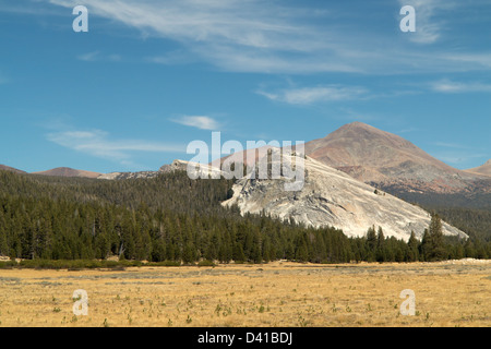 Viaggiare Yosemite National Park, California, Stati Uniti d'America Foto Stock