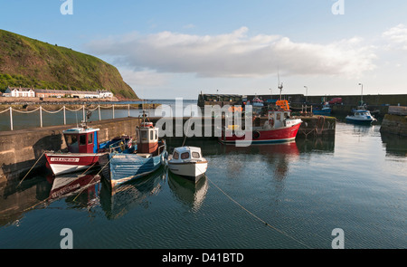 La Scozia, Scottish Borders, Burnmouth Harbour Foto Stock