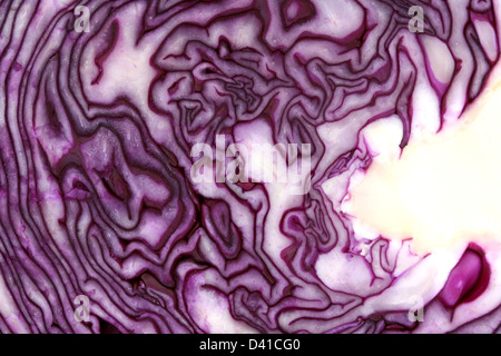 All'interno di materie di cavolo rosso e texture picchiettio close up Foto Stock