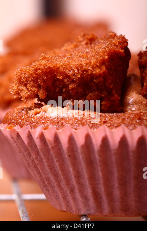 Butterfly Bun raffreddamento sulla teglia da forno Foto Stock