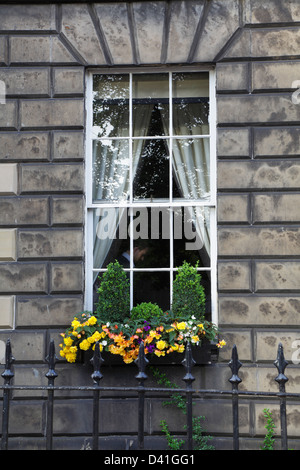 Fiori estivi in una finestra su una finestra georgiana, Edimburgo, Scozia, Regno Unito Foto Stock