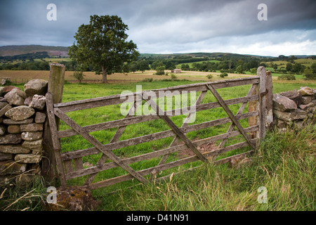 Cancello rustico in stalattite parete in Cumbria, Inghilterra, Regno Unito. Foto Stock