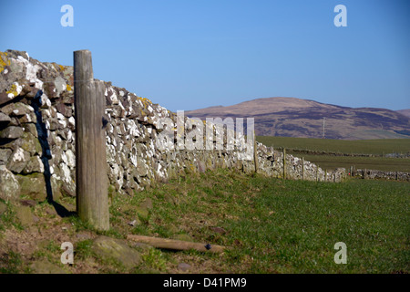 Muri in pietra a secco noto in Scozia come secco stane dighe, costruito senza uso di calcestruzzo o cemento. Muro di cinta in costa ovest. Foto Stock